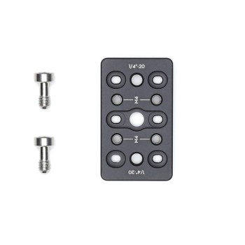 Ronin-S Cheese Plate