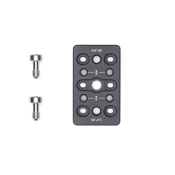 Ronin-S Cheese Plate