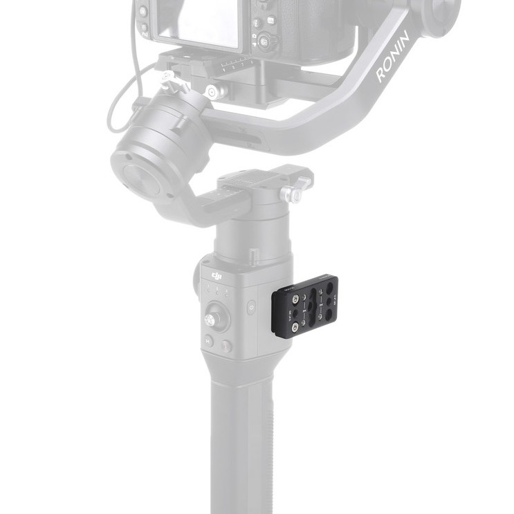 Ronin-S Cheese Plate