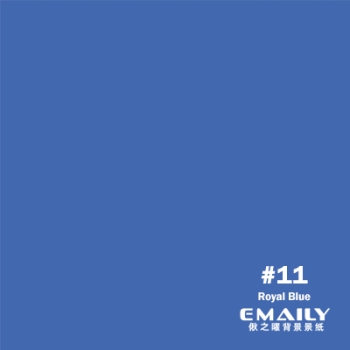 Emaily Royal Blue Background Paper #11