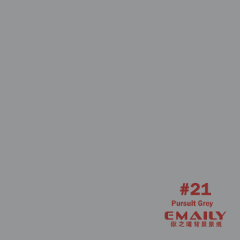 Emaily Pursuit Grey #21 Background Paper 2.7m