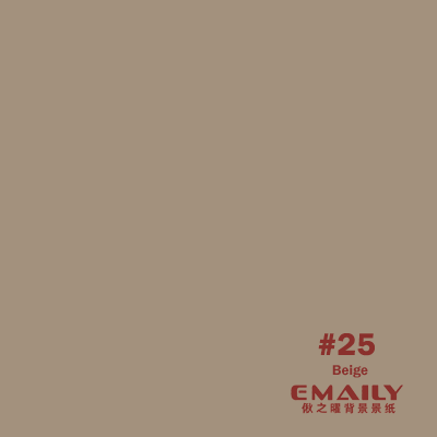 Emaily Beige #25 Background Paper 2.7m