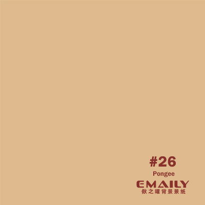 Emaily Pongee #26 Background Paper 2.7m