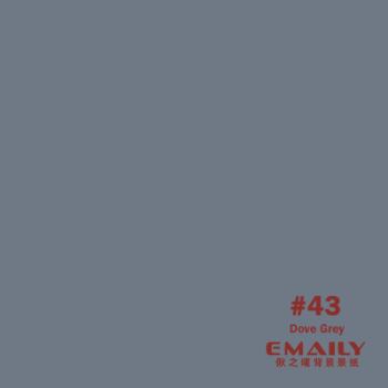 Emaily Dove Grey #43 Background Paper 2.7m