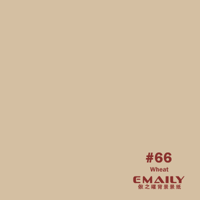  Emaily Wheat #66 Background Paper 2.7m