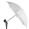 Portrait Studio Umbrella Continuous Lighting