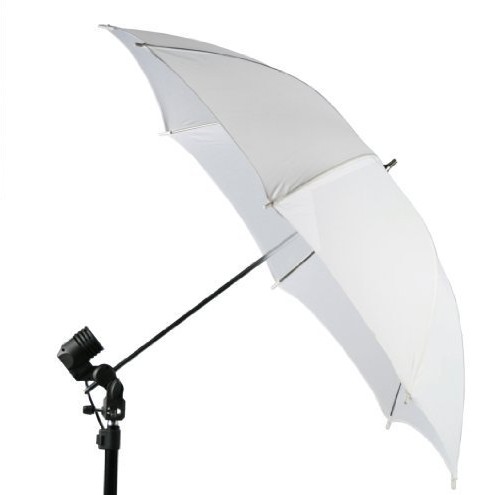 Portrait Studio Umbrella Continuous Lighting