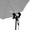 Portrait Studio Umbrella Continuous Lighting