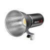 Jinbei EFD-60BI LED portable Bi Color video light
