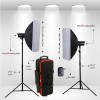 Jinbei DM2-400 Studio Flash Kit
