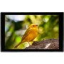 PORTKEYS HD7T 7" Touchscreen Monitor with Professional Tools