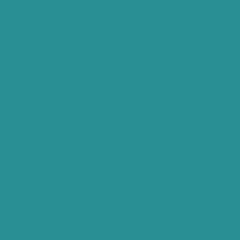Savage Widetone Seamless Background Paper #68 Teal 2.7m