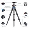 SIRUI Mini Tripod AM-223 Carbon Fiber Travel Tripod with B-00K Ball Head AM-223+B00K