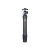 SIRUI AM-254 Carbon Fiber Medium Tripod with A-10R Ball Head