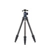 SIRUI AM-254 Carbon Fiber Medium Tripod with A-10R Ball Head