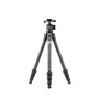 SIRUI AM-254 Carbon Fiber Medium Tripod with A-10R Ball Head
