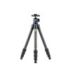 SIRUI AM-284 Carbon Fiber Medium Tripod with A-10R Ball Head