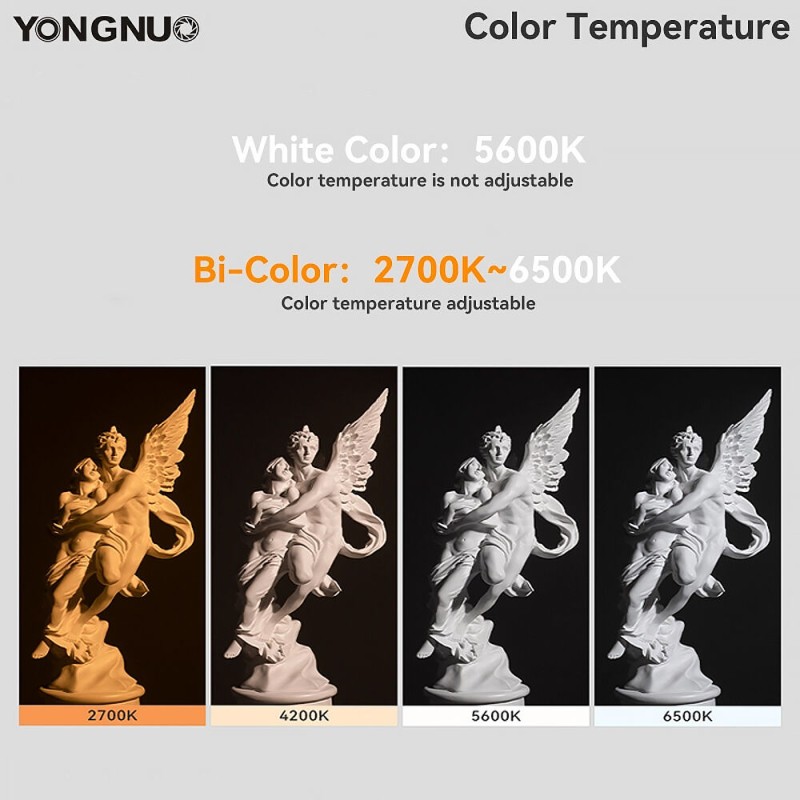 Yongnuo YN200 Lux Bi-Color LED Monolight