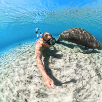 Insta360 Invisible Dive Case for X5