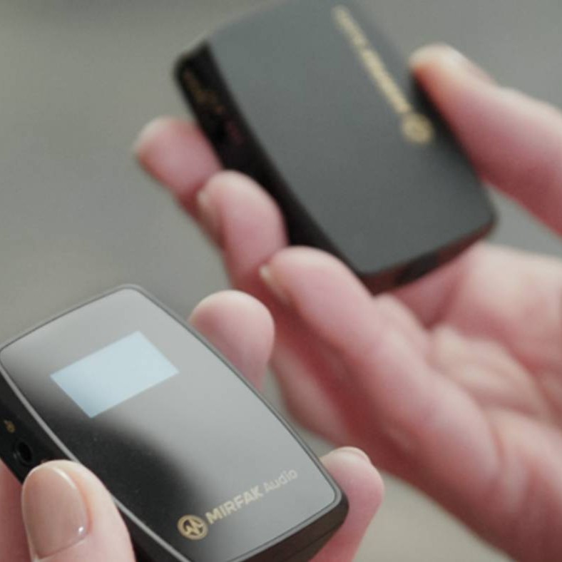 Mirfak Audio WE10 Dual Channel Compact Wireless Microphone System