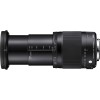 Sigma 18-300mm f/3.5-6.3 DC Macro OS HSM ART for Nikon