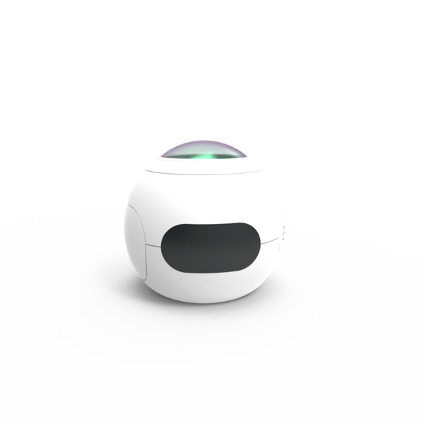 SJCAM SJ360 360 Degree 2K Action Camera